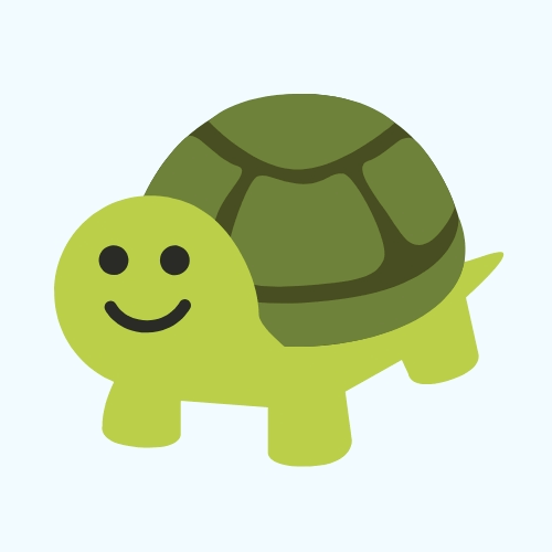 Your tortoise